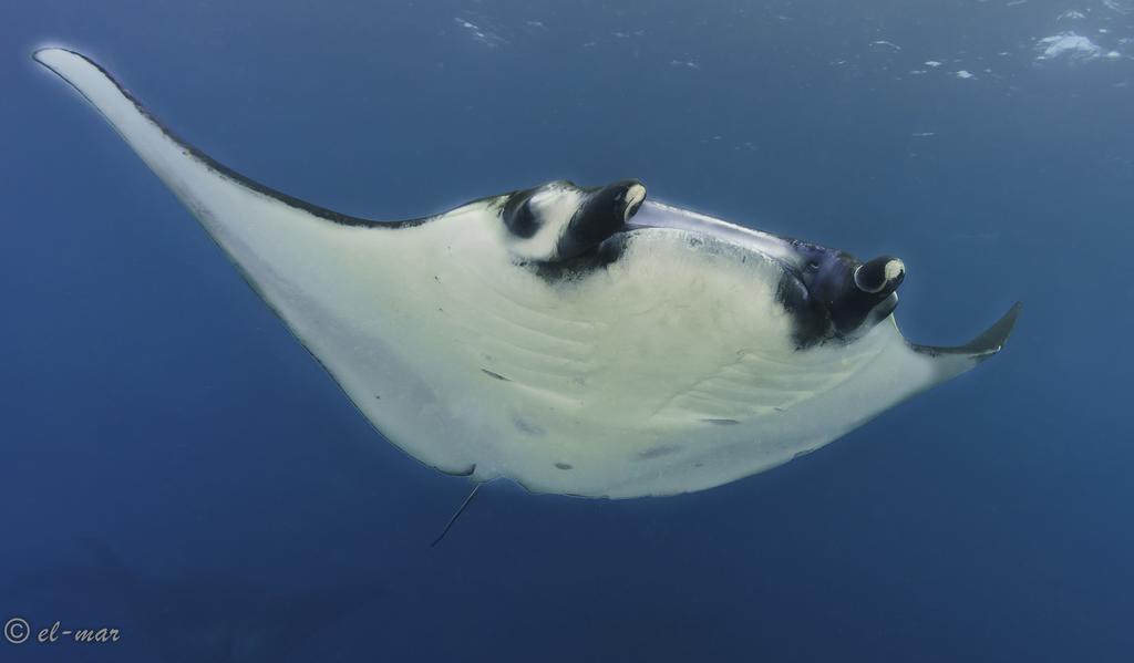Kubu Indah Dive & Spa Resort Туламбен Экстерьер фото